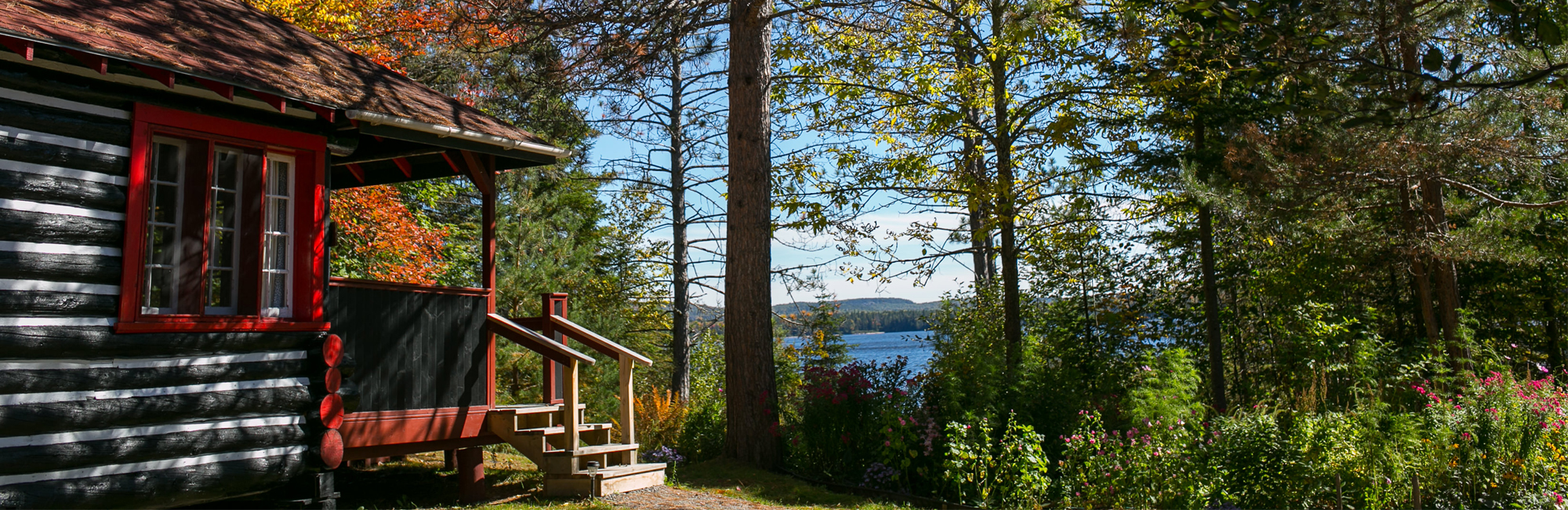 Beautiful Wilson Lake Resort Bike Cottage Country