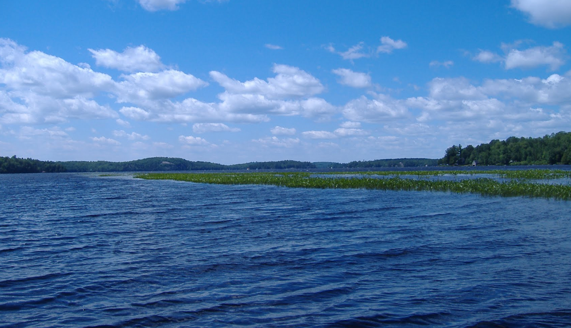 Lake Cecebe - Midlothian Route - Bike Cottage Country