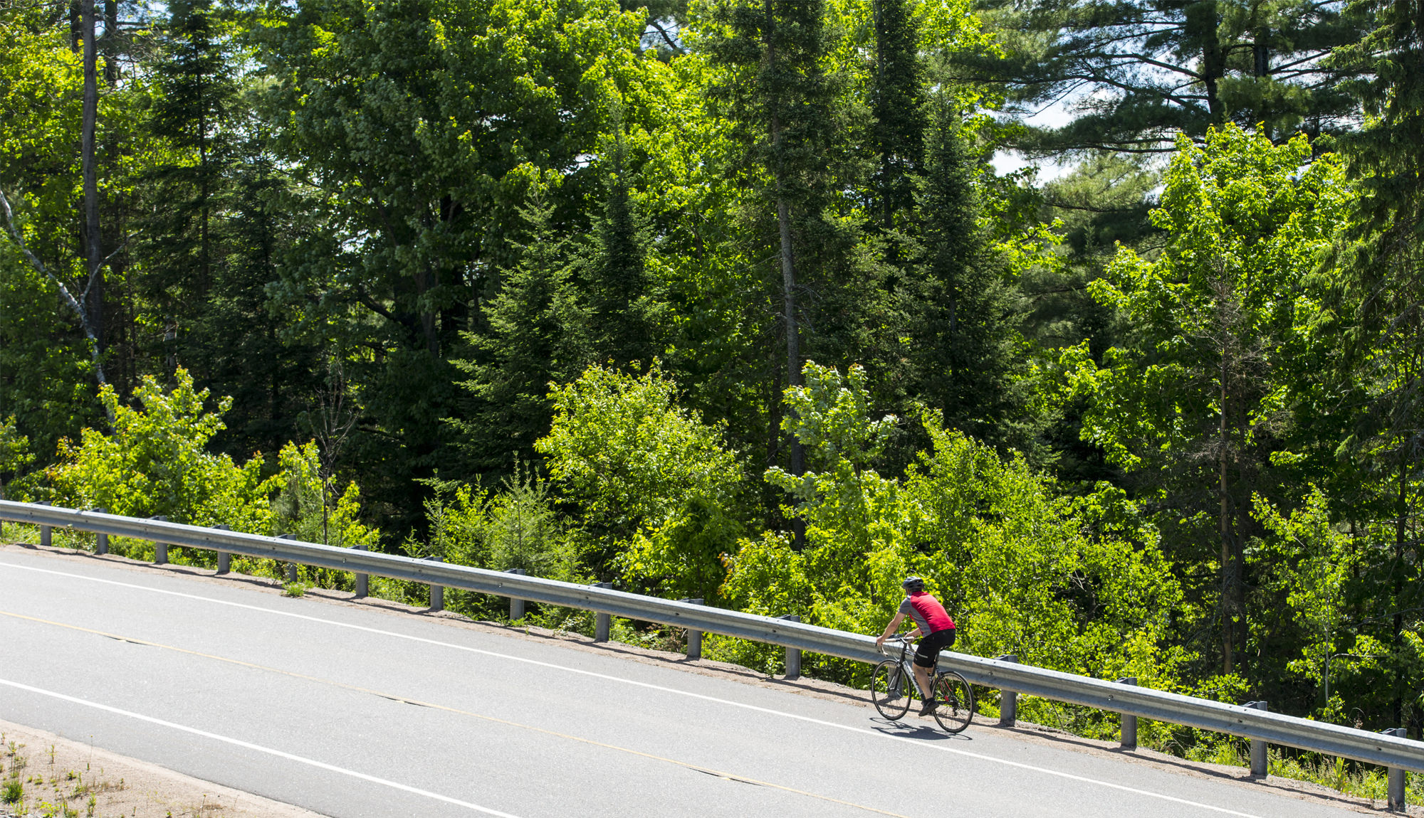 Old Ferguson Road Huntsville Bike Cottage Country